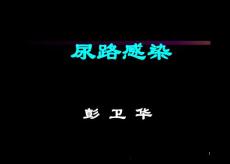 尿路感染课件