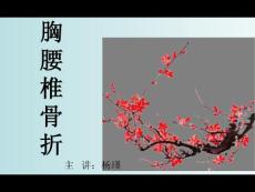 胸腰椎骨折课件