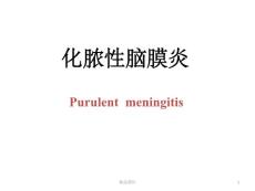 化脓性脑膜炎 课件