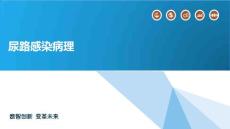尿路感染病理