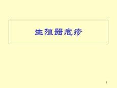 生殖器疱疹课件