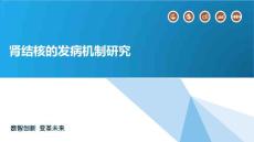 肾结核的发病机制研究
