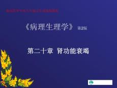肾功能衰竭课件