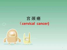 宫颈癌课件
