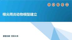 根尖周炎动物模型建立