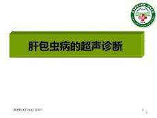 肝包虫病的超声诊断课件