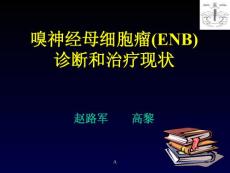 嗅神经母细胞瘤课件