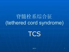 脊髓栓系综合征ppt课件