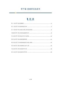 胃下垂-疾病研究白皮书