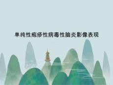 单纯性疱疹性病毒性脑炎影像表现ppt课件