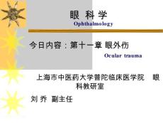 眼外伤教学课件