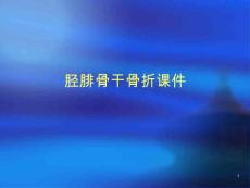 胫腓骨干骨折课件