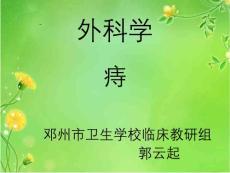 痔疮PPT