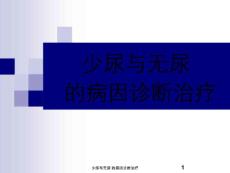 少尿与无尿-的病因诊断治疗-课件