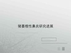 猪萎缩性鼻炎研究进展课件