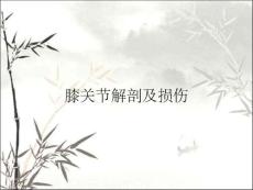 膝关节解剖及损伤