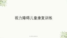 视力障碍儿童康复训练ppt课件