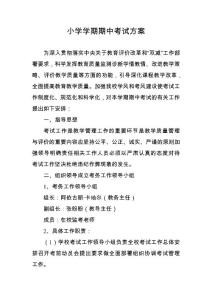 小学学期期中考试方案
