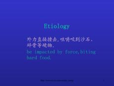 大学牙折的病因及治疗方法课件