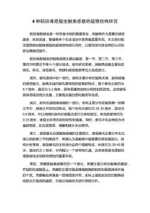 4种稻田毒隐翅虫触角感器的超微结构研究