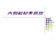 内侧副韧带损伤课件