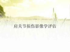肩关节损伤影像学评估