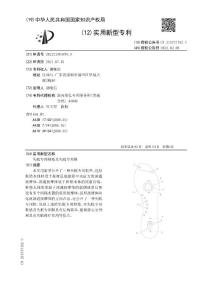 失眠专用鞋垫及失眠专用鞋