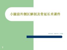 小腿前外侧区解剖及骨延长术ppt课件