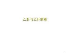 乙肝与乙肝病毒课件