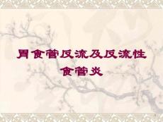 胃食管反流及反流性食管炎培训ppt课件