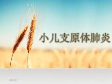 小儿支原体肺炎