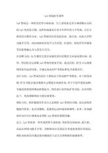 IgA肾病医学课件