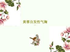 自发性气胸课件