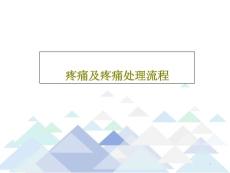 疼痛及疼痛处理流程课件