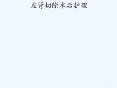 肾癌术后护理课件