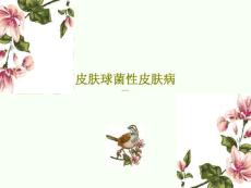 皮肤球菌性皮肤病课件