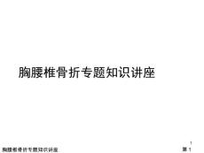 胸腰椎骨折专题知识课件