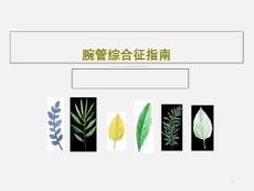 腕管综合征指南课件