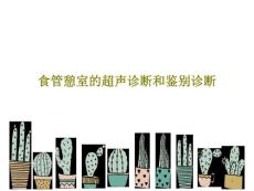食管憩室的超声诊断和鉴别诊断课件