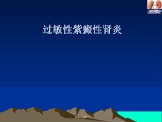 过敏性紫癜性肾炎课件