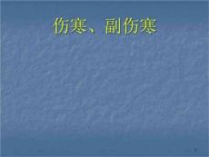 伤寒副伤寒课件