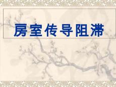 房室传导阻滞课件