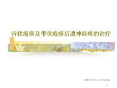 带状疱疹及带状疱疹后遗神经疼的治疗课件