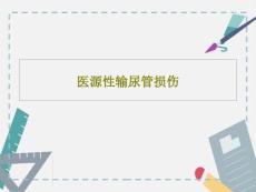 医源性输尿管损伤课件