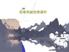 伤寒和副伤寒ppt课件