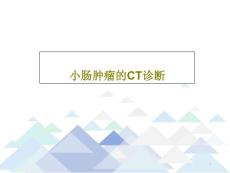 小肠肿瘤的CT诊断课件