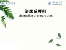 外科医学课件：尿路梗阻
