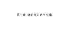 猪蛔虫病介绍