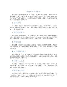脓疱疮的护理措施