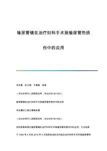 输尿管镜在治疗妇科手术致输尿管热损伤中的应用